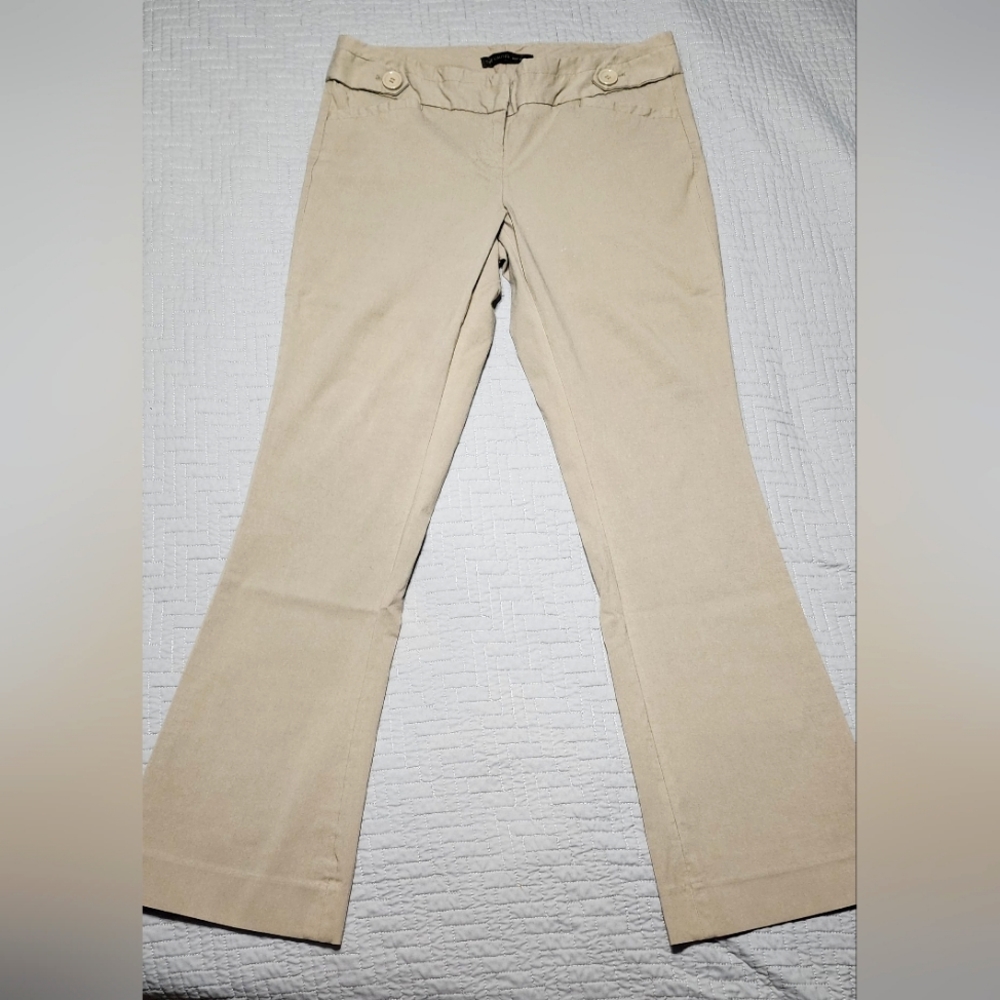 The Limited Exact Stretch dress pants
